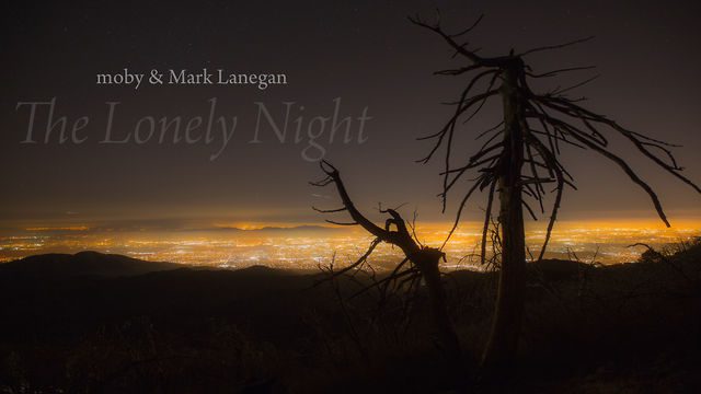 TheLonelyNight