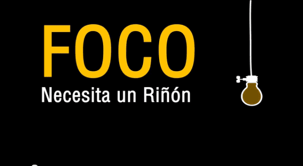 Imagen 2
