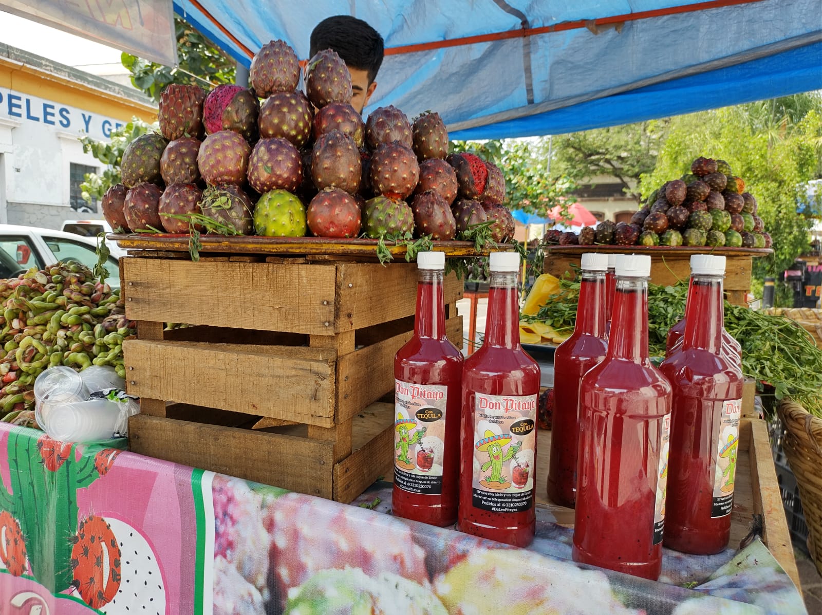 puesto de la feria de la pitaya en guadalajara